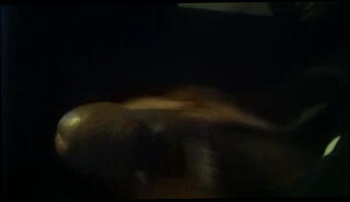 Video 168277401: dick black gay man, black dick jacking, jerking