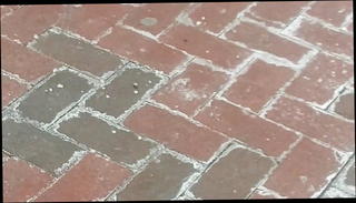 Video 1223776801: straight ass, thick ass bouncing, thin ass, skirt ass, best ass, one ass