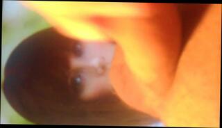 Video 249809901: bryce dallas howard, man gay