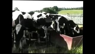 Video 278826201: public nudity, tits maid, tits nipples, tits straight, nipples hd