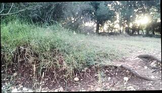 Video 1617177781: hairy cock pissing, hairy pissing gay, pee pissing outdoor, pissing naked men gay, gay nude men pissing, big hairy cock gay, pee erection, gay man pissing, beach pee, pissing hd, glory