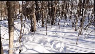 Video 1591398321: solo twink jerks, twink solo big cock, twink solo gay, solo twink masturbation, solo amateur twink, young twink solo, gay twink hd, younger twink, jerking huge dick