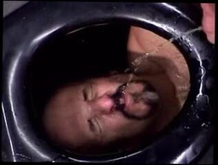 Video 47540301: pig gay porn, man gay porn