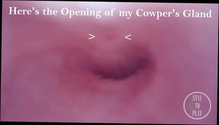 Video 1626083691: sissy crossdresser piss, fetish crossdresser sissy, crossdresser sissy sounding urethral, sissy crossdresser cum, sissy crossdresser ladyboy, sissy crossdresser shemale, sissy crossdresser homemade, sissy crossdresser cock, amateur sissy crossdresser, girl fetish pov, young sissy crossdresser, sissy crossdresser big, dick pissing cumming, pov german amateur, pov hd amateur, pissing insertion, prostate, strap, austrian amateur girl