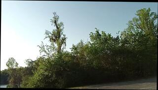 Video 1664998483: pov interracial amateur, solo male pov, interracial pov big, amateur pov dick, big dick ebony solo, pov dick outdoors, pov amateur latin, amateur mature solo, pov public outdoor