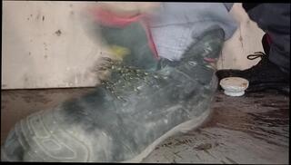 Video 1619891433: feet fetish solo, gay feet fetish, male feet fetish, solo gay amateur, feet trample, boots feet, crush fetish, dirty boots