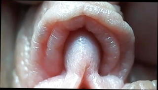 Video 1143932401: closeup pussy clit, girl pussy closeup, pussy closeup masturbation, big pussy lips labia, labia clitoris, tight pussy closeup, closeup cam, straight pussy, clitoris close