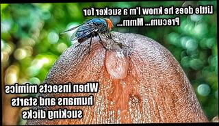 Video 1568339563: solo big dick cumshot, solo masturbation big dick, solo masturbation moaning, solo male masturbation cumshot, sexy solo masturbation, amateur solo sexy, sexy solo play, solo vibe, dripping solo, wet solo masturbation, amateur solo hd, solo close, good solo, dick dripping precum, big dick guy