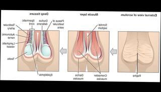 Video 891438105: solo boy masturbation, solo masturbation ass, solo masturbation playing, men masturbating, ass stimulation