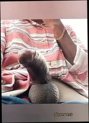 Video 1624805261: sucker slave, slave handjob, webcam slave, slave cum, slave cumshot, slave hardcore, slave masturbation, gay slave, indian slave, slave mouth, slave outdoor, young slave, camera boys, ejaculation