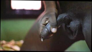 Video 239970401: cum shot, cum time, shot gay, man gay