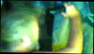 Video 1571131951: bbc cuck, bbc sucking gay