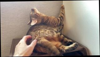 Video 1580217203: lesbian pussy licking squirting, lesbian toys squirt, lesbian squirting orgasm, squirting lesbian girl, anal squirting lesbians, lesbian squirting amateur, squirting lesbian sex, lesbian squirts hard, first lesbian pussy licking, lesbian girls naked, squirting orgasm first time, dirty squirting, squirt surprise, funny squirting