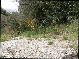 Video 1599318391: pissing peeing fetish, bdsm fetish slave, dildo fucks butt plugged, anal dildo butt plug, anal dildo toy fetish, cage butt plug, caged sex slave, pissing slave gay, huge dildo butt plug, butt plug dildo play, gay humiliation slave, fetish hardcore bdsm, pee pissing outdoor, german bdsm fetish, anal butt plug masturbation, naked sex slave, butt plug nipple, dildo sex toy man, pissing straight gay, public butt plug, butt plug rough, piss swallowing, anal dildo hd, little pee, knees slave, pissing mouth