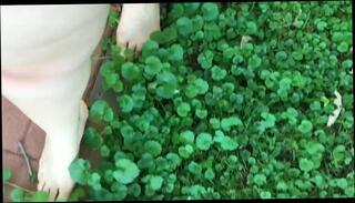 Video 255757301: feet, amateur gay, little dirty