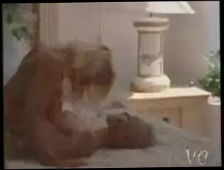 Video 53547601: monique parent, dru berrymore, lesbian pornstars, lesbian straight, lesbian celebrities