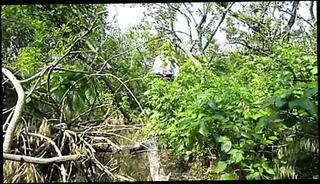 Video 192473601: str8 daddy cum, big cock str8 daddy, str8 daddy stroke, str8 gay, amateur str8, str8 man, cock cum outdoor, park cum