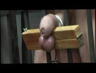 Video 230604301: femdom cbt, cage, straight