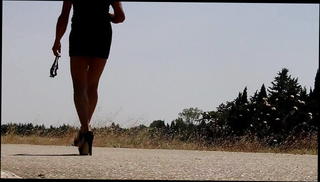 Video 1571088591: shemale flash