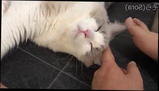 Video 1576498353: pov feet fetish, gay feet fetish, fetish gay solo, male feet pov, fetish amateur gay, gay bear fetish, japanese amateur pov