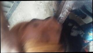 Video 178739901: tranny shemale ladyboys blowjob, shemale tranny sucking, ladyboy sucks dick, amateur tranny sucks, red suck dick, dick suck hd