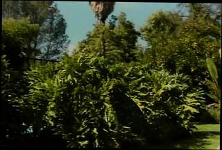 Video 1621804081: retro doggy style, babe pussy fucked doggy, pussy fucked hardcore doggy, babe fucked hard doggy, dick doggy style fucking, doggy style cowgirl fucking, blonde babe fucking doggy, dick hard doggy sex, hard cock fuck doggie, fucking big dick doggy, tits babe doggy styled, pussy doggy fucked rough, doggy style fuck facial, doggy style fucking harder, amazing doggy style fuck, fucking doggy style eating, fucked doggy style outdoors, doggy style public fuck, doggy style straight, babe sucking pussy fucking, nice tits sucks fucks, pussy fucked jizzed, gorgeous blonde babe fucked, fucking biggest dick, pussy hard face fuck, fat pussy fucked hard, blonde rides big dick, fuck jizz spray, babe sucks rod, blonde babe barbie, pool fuck hard