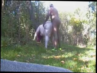 Watch the video about Fat nasty aprill on the trails 3