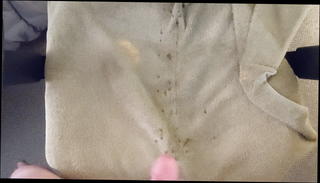 Video 1571263251: butt plug stroking, big butt plug, dildo jerking, dildo ass, mouth plugged, dildoing opening, gay jerking, jerking big load, jerking shooting, swallow