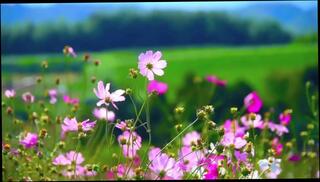 Video 1621550183: lesbian massage threesome, lesbian threesome squirt, lesbian threesome kissing, bisexual sex threesome, amateur bisexual threesome, lesbian massage orgasm, threesome lesbian girl, solo masturbation squirting, pinay squirt solo, ebony lesbian threesome, solo bisexual male, solo female squirt, massage sex stories, public masturbation squirt, threesome behind, babysitter threesome, first threesome