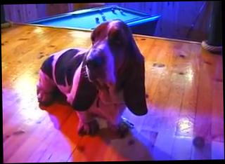 Video 130069904: linda kiss, double penetration anal sex, double penetration group sex, brunette double penetration, blonde double penetration