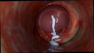 Video 1653790043: pov closeup creampie, creampie closeup pussy, babe pov closeup, closeup pov cumshot, closeup pov masturbation, amateur closeup pov, pov creampie cum, hardcore pov creampie, pov fetish babe, giantess vore pov, pov creampie inside, closeup pussy toying, hardcore creampie vagina, extreme closeup pussy, moans creampie inside, beautiful pussy closeup, pussy creampie close, breeding creampie inside, camera closeup, sperm inside pussy, pussy ejaculation, deep huge pussy