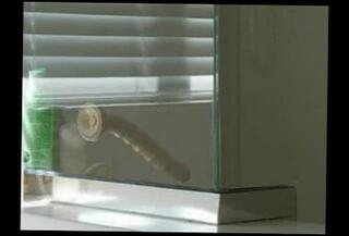 Video 136760801: dildo fuck toy, dildo sex toy, dildo gay toys, standing dildo fuck, shower dildo, one dildo