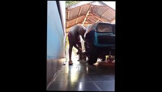 Video 1655432703: solo amateur cum, amateur solo big tits, solo male cum, behind cum inside