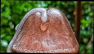 Video 1567206503: solo milking, dick solo masturbating cumming, huge dick solo masturbation, amateur huge dick solo, solo big dick cum, hard dick masturbating solo, solo male masturbation cum, solo big dick cumshot, solo masturbation moaning, cum load milking, cum close solo, milk dripping, solo guy moaning, solo play cumming, solo masturbation extreme, amateur solo hd, milking precum, orgasm huge cum load, dick strokes cums