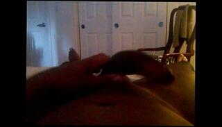 Video 19554955: gay cock jerking, wanking big black cock