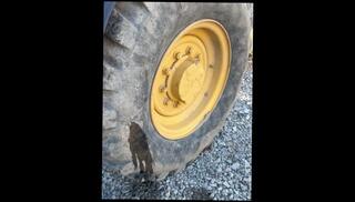 Video 1617702173: pissing peeing fetish, solo pee fetish, solo male piss, machine pov, piss boys cock, amateur solo boy, pissing boys public, college boy solo, amateur solo guy