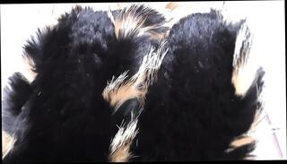 Video 1658798801: pantyhose fetish joi, joi femdom fetish, femdom mistress joi, fetish femdom milf, creampie amateur mature milf, femdom milf jerking, milf creampie cumshot, amateur milf solo, femdom joi game, black pantyhose fetish, german femdom joi, talking milf creampied, european milf solo, milf solo hd, straight amateur solo, jerk instructions joi, pantyhose lady, mature woman creampie, skirt black pantyhose, pantyhose black leather, german milf help, pantyhose black stockings, ejaculation training, sniffing cum