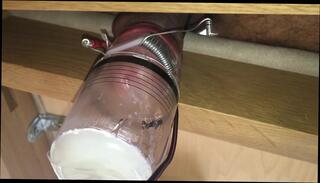 Video 228504001: bdsm milking, milking cock cum, sex toy collection, milk gay sex, milking hard cock, big milkings cums, hd collection, cock shoots cum load, cock shoots thick cum, cock massive cum load, cock head cum, two cocks, cock face