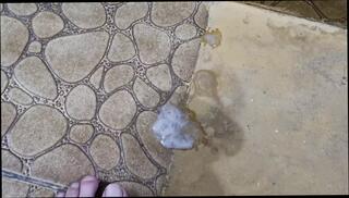 Video 1622406761: foot fetish feet, feet fetish solo, foot fetish handjob, hairy hunk bareback, hairy gay bareback, solo hairy masturbation, foot fetish cumshot, hairy dick solo, foot fetish cock, hairy bear bareback, big feet foot, hot foot fetish, brazilian foot fetish, hairy men solo, hairy man solo, foot fetish hd, big thick hairy dick, hot latino gay bareback, gay bathroom bareback, naughty hairy, hot thick cum, crazy handjob, mirror jerk, naked