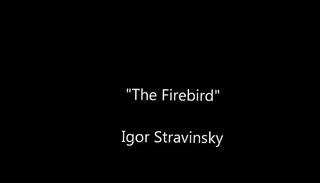 Video 103066355: cock pussy fucked, fucking pussy gay