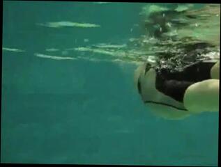 Video 191540301: amateur straight cock sucked, cock sucking blowjob, sucking underwater