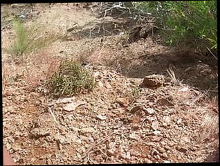 Video 1588796641: gay solo cumshot compilation, solo male cum compilation, big cock solo compilation, solo masturbation compilation, solo masturbation jerk cum, dick solo masturbating cumming, solo gay sex boy, amateur blowjob cumshot compilation, moaning cum compilation, young boy solo jerking, solo hunk jerks, amateur asian blowjob compilation, pinoy solo masturbation, cum compilation hd, public cum compilation, solo outdoor cum, old cumshot compilation, filipino solo, cum hard moaning, quick cum