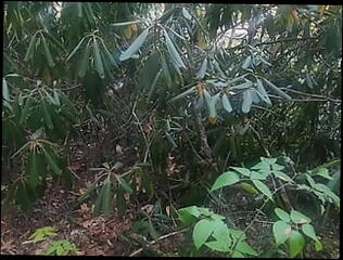 Video 1618299241: solo cock masturbation cum, solo masturbation nude, white cock solo masturbation, solo male masturbation cum, solo masturbation jerk, solo male masturbation cumshot, solo masturbation naked, solo jerk gay, solo men masturbating, solo outdoor masturbation, man solo jerk, solo public masturbation, solo masturbation hd, boner solo, erect cock cum, american nude