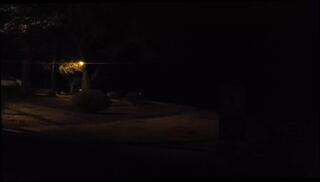 Video 1609005111: tiny cock humiliation, skinny boy solo, fetish gay solo, skinny young boy gay, amateur solo boy, small cock humiliation, neighbor caught, high heels fetish, humiliated outdoors, public humiliation, hd skinny, boys nude