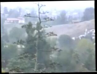 Video 119477304: vintage interracial sex, vintage group sex, vintage shemale