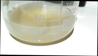 Video 1225244801: gay cum load, big cum gay, big thick cum load, huge cumshot