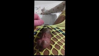 Video 1654109733: virgin solo, asian ladyboy solo cum, virgin anal sex, amateur anal virgin, ladyboy solo cumshot, solo babe cum, amateur solo porn, ladyboy beauty solo, old virgin sex, japanese ladyboy solo, porn solo male, babe loves solo, 18 year old virgin, virgin hd, hotel solo, romantic solo