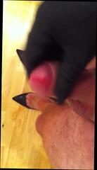 Video 212982601: horny crossdresser, crossdresser masturbation, gay crossdresser, man crossdresser, leather wank, wanks creamy, hd horny