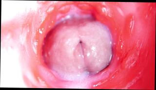 Video 1625915681: twink femboy masturbates, sexy femboy twink, twink femboy gay, twink femboy fucks, femboy teen twink, bdsm fetish cock, fetish bdsm anal, bdsm fetish sex, fetish bdsm hot, twinks gays boys masturbations, cock sex toys fetish, daddy fucks twink gay, gay twink boy ass, dick twink anal sex, twink boys big cocks, deep throat twink sex, gay twinks fucking men, gay twink moans, gay man fucking twink, twink russian boy, twink sex hd, twink close, romantic bdsm, extreme big cock, hole big cock, sweet big cock