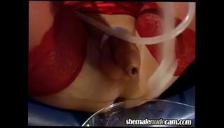 Video 550370425: transsexual tranny, transsexual shemale, transsexual webcam, tranny chat